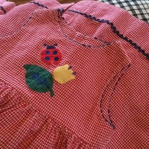 gingham Glorimont ladybug dress great condition